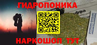 стаф Краснодар