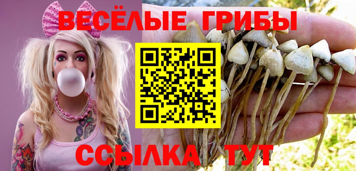 Галлюциногенные грибы MAGIC MUSHROOMS  Галлюциногенные грибы мицелий  Вход с VPN  Кимры 