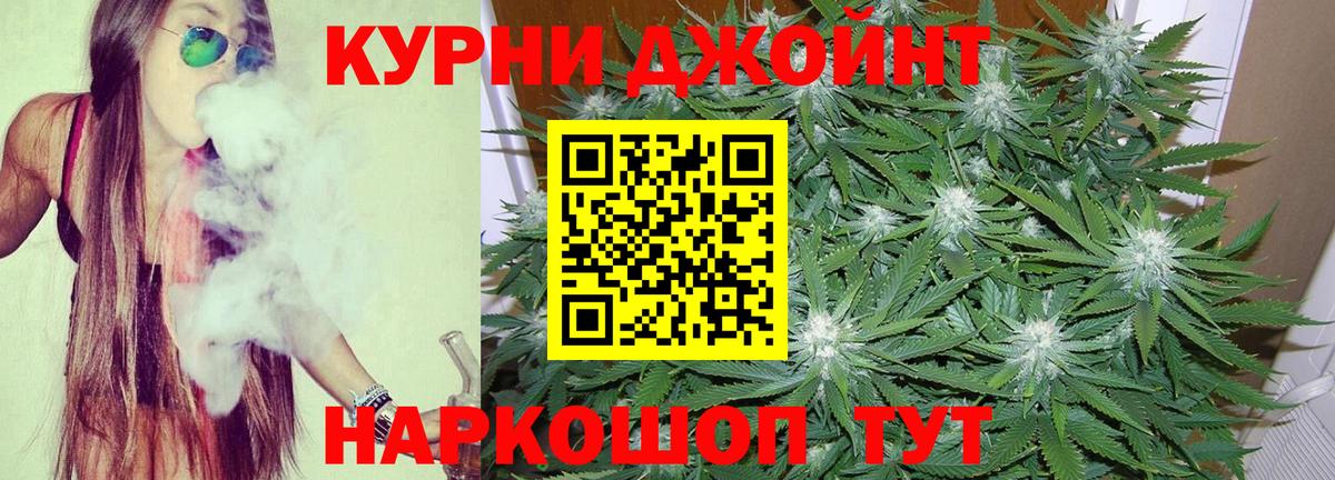Бошки Шишки гибрид Кимры